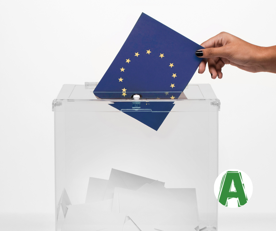 Disabilità e elezioni europee: perché andare a votare è importante